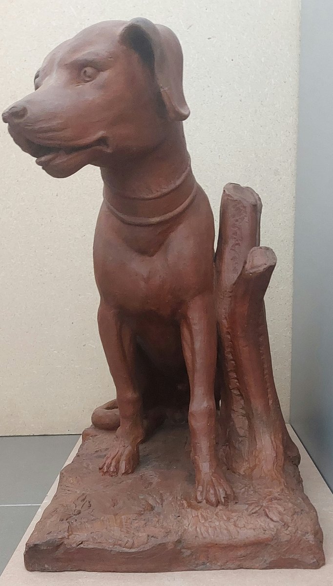 Scultura Settecentesca in Terracotta Patinata – Cane da Caccia, XVIII Secolo-photo-1