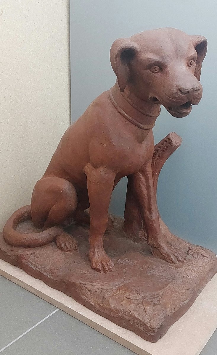 Scultura Settecentesca in Terracotta Patinata – Cane da Caccia, XVIII Secolo-photo-2