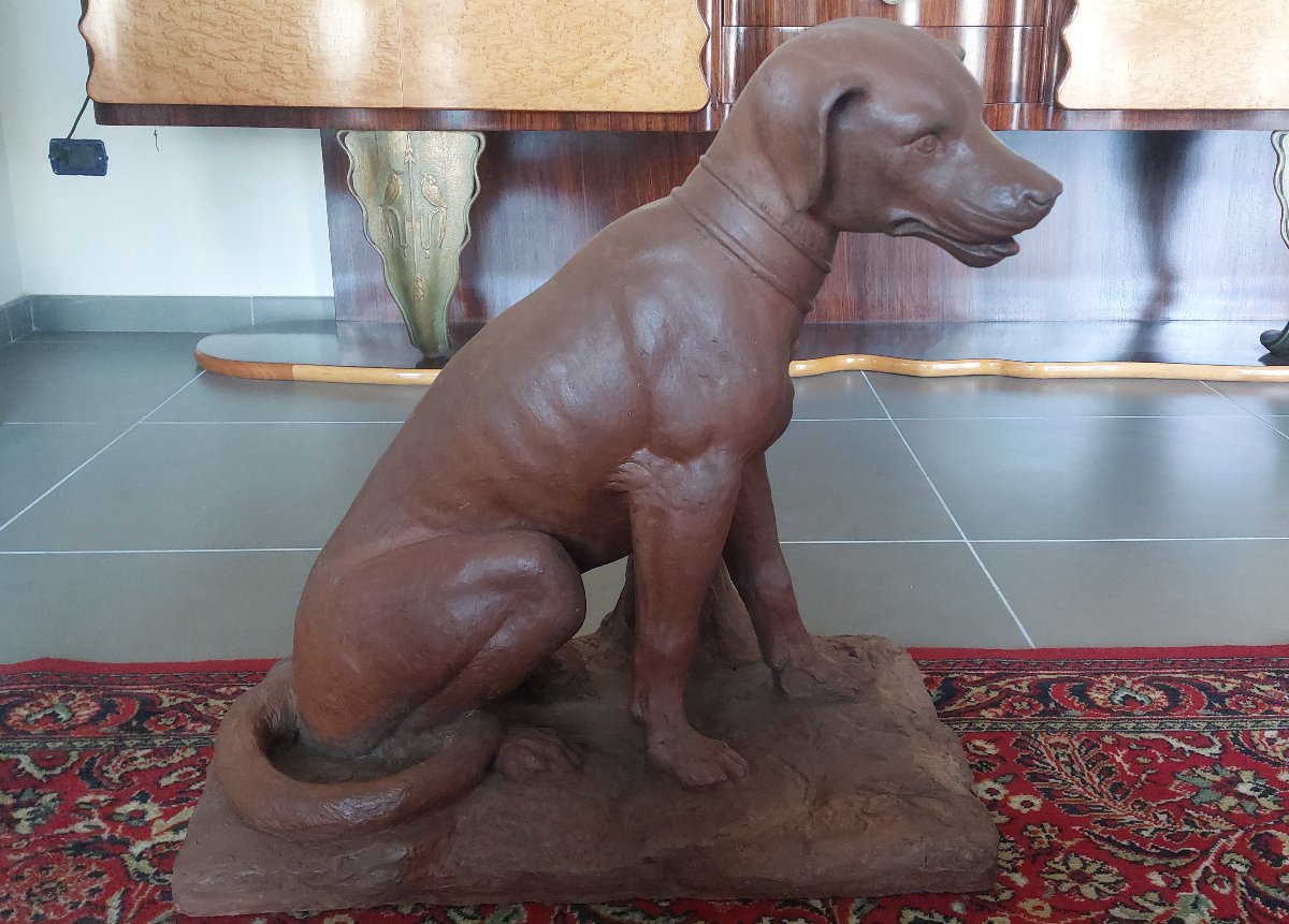 Scultura Settecentesca in Terracotta Patinata – Cane da Caccia, XVIII Secolo
