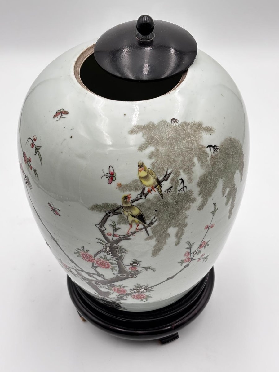 Vaso Cinese in Porcellana Decorata con Uccelli e Rami Fioriti-photo-2