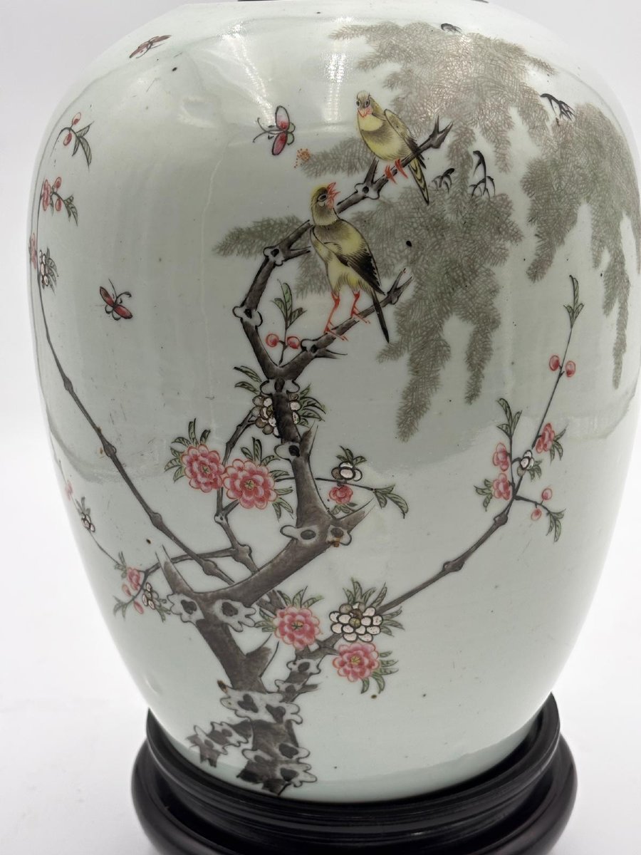 Vaso Cinese in Porcellana Decorata con Uccelli e Rami Fioriti-photo-5