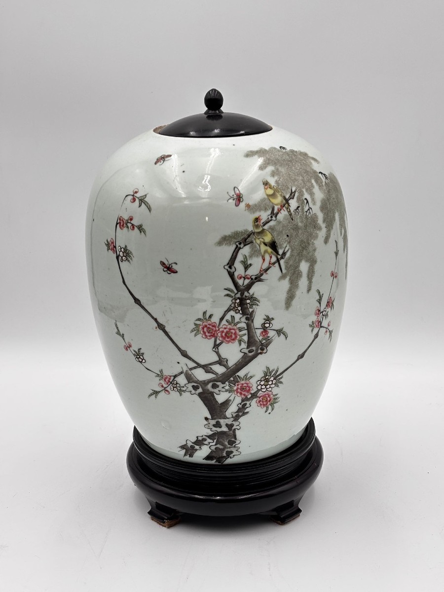 Vaso Cinese in Porcellana Decorata con Uccelli e Rami Fioriti