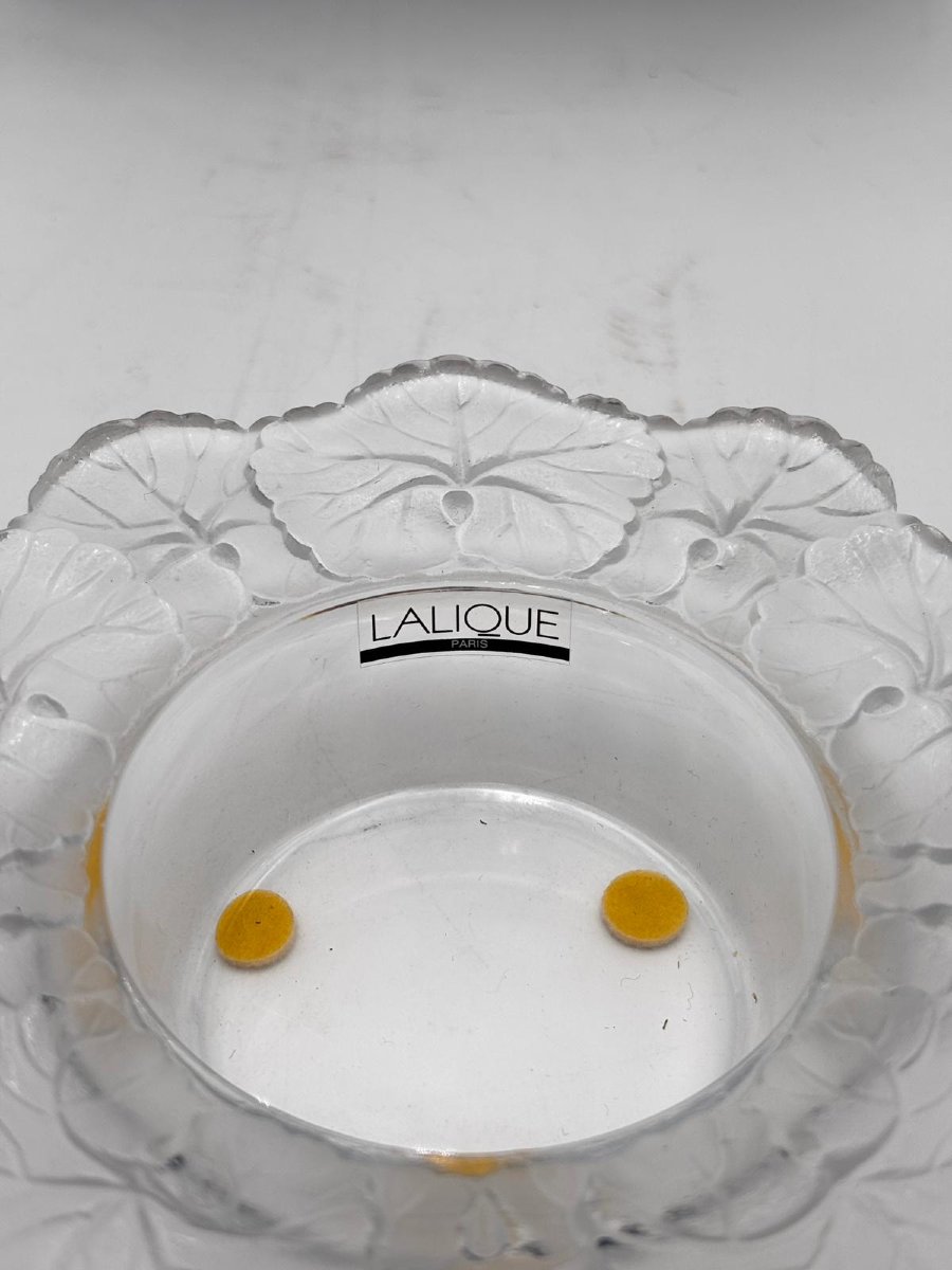 Ciotola “Honfleur” in cristallo artistico Lalique -photo-3