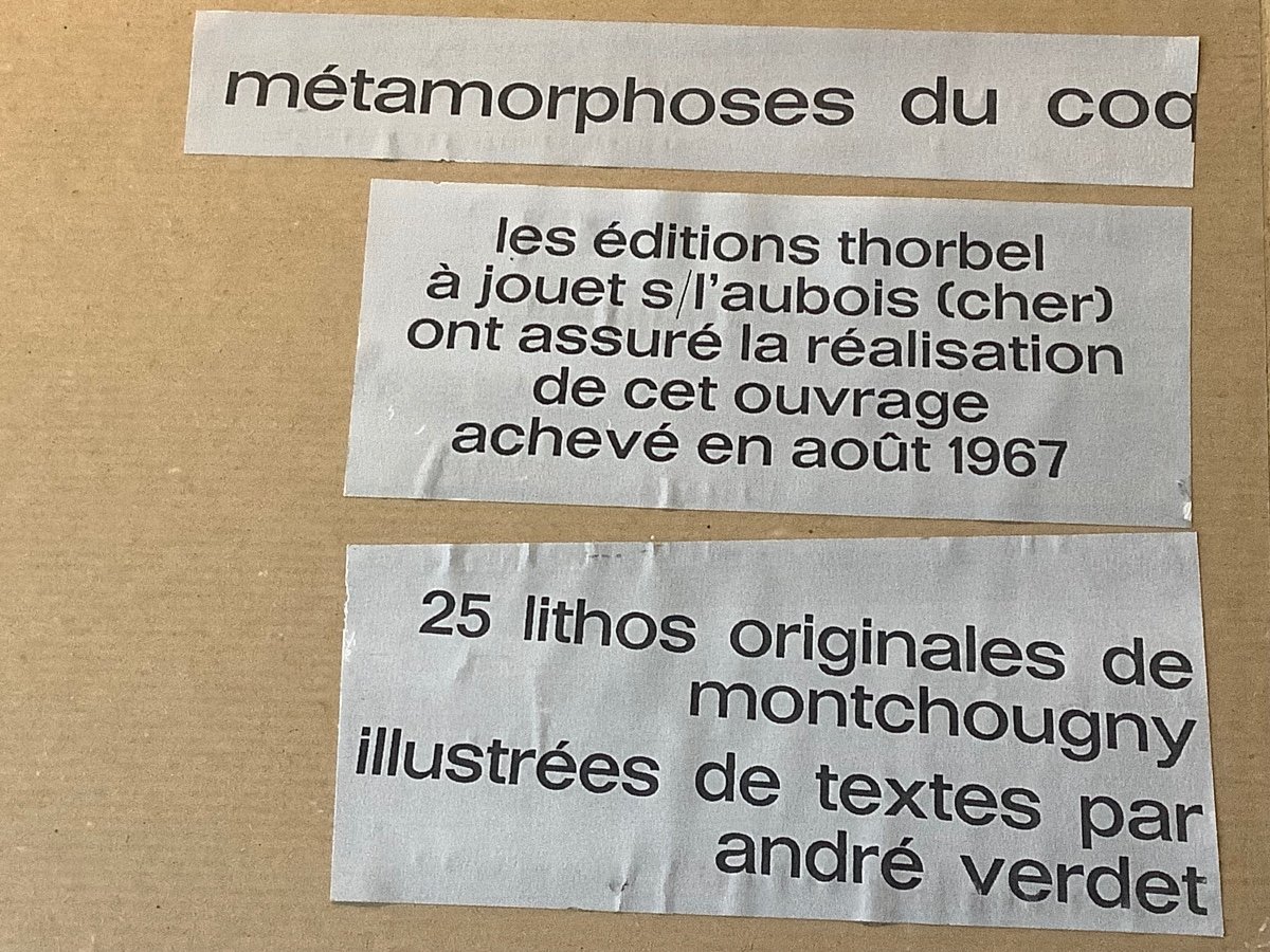 Litografia metamorfosi del gallo di montchougny Ep 1960-photo-3