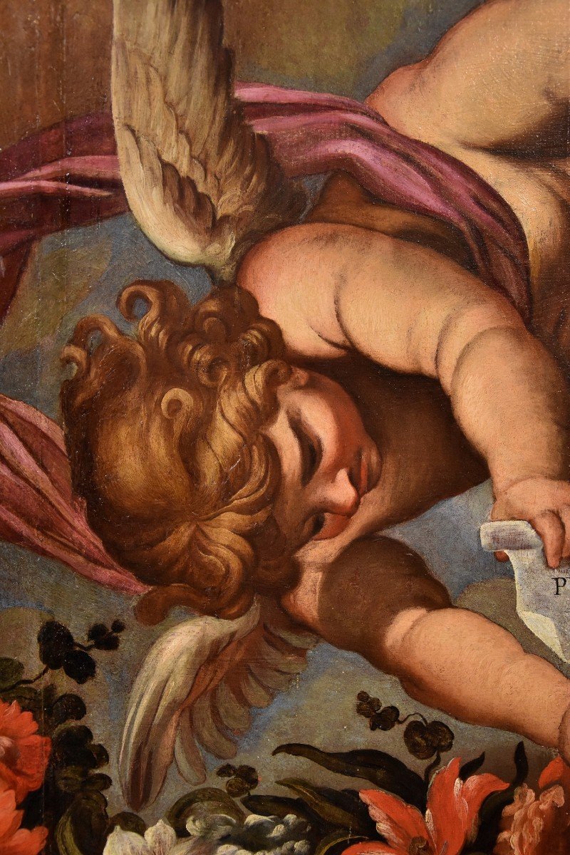 Coppia di angeli con festone floreale, Carlo Maratta (Camerano, 1625 - Roma, 1713) Bottega di -photo-5