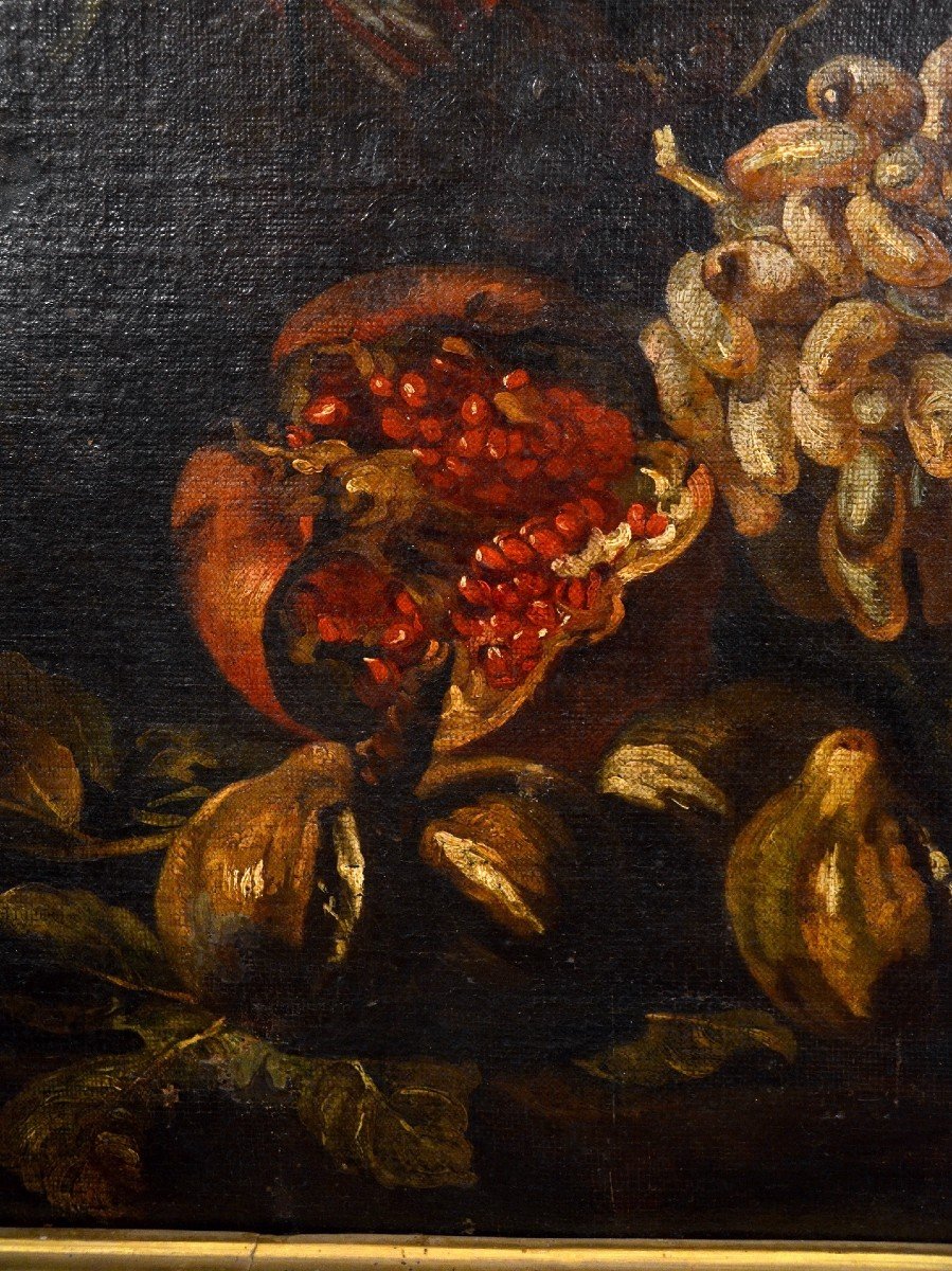 Natura morta con festone di fiori e frutta, Aniello Ascione (Napoli, notizie dal 1680 al 1708)-photo-5