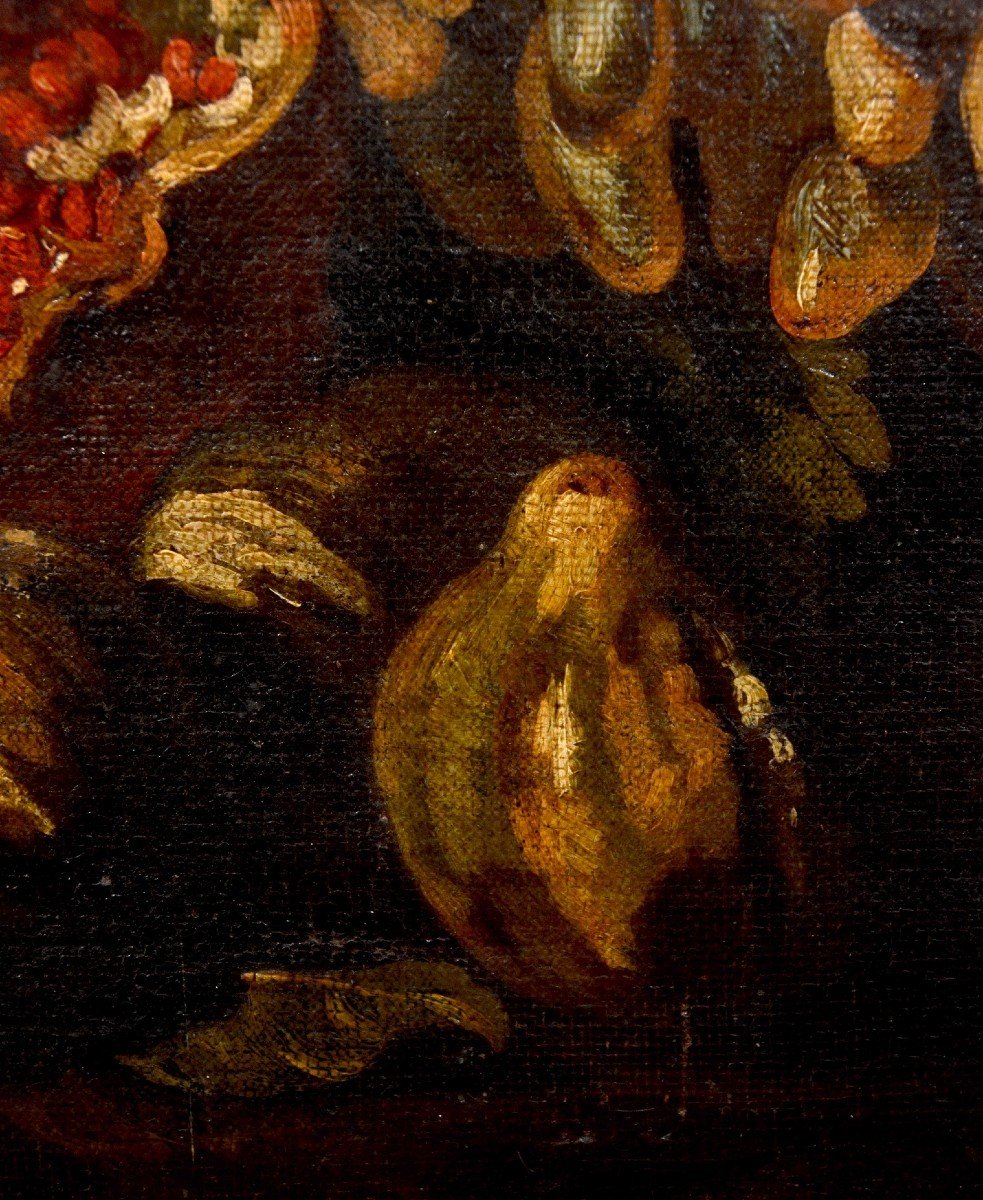 Natura morta con festone di fiori e frutta, Aniello Ascione (Napoli, notizie dal 1680 al 1708)-photo-6
