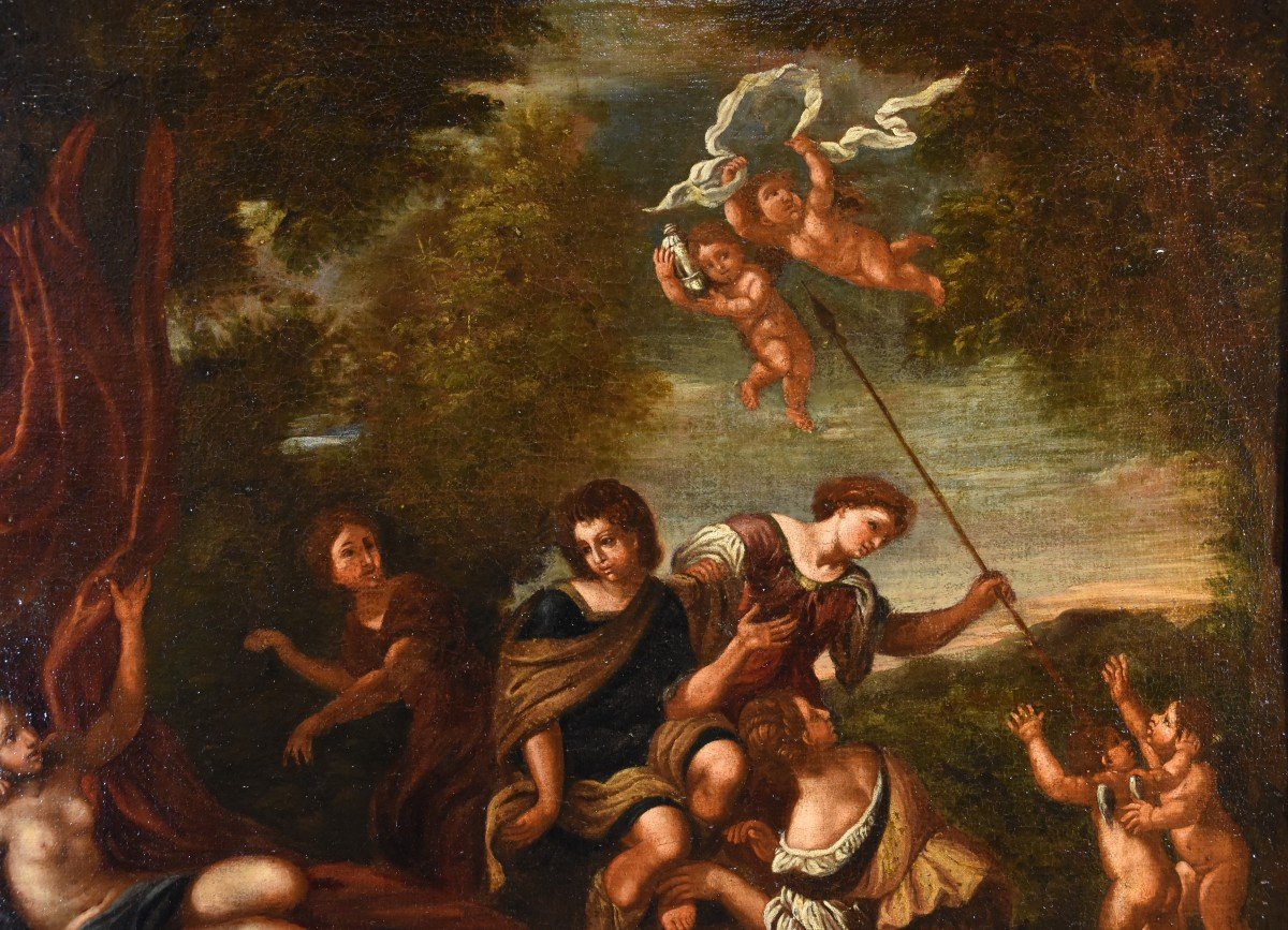Diana e le sue ninfe sorprese da Atteone, Francesco Albani (Bologna 1578 - 1660) bottega di -photo-4