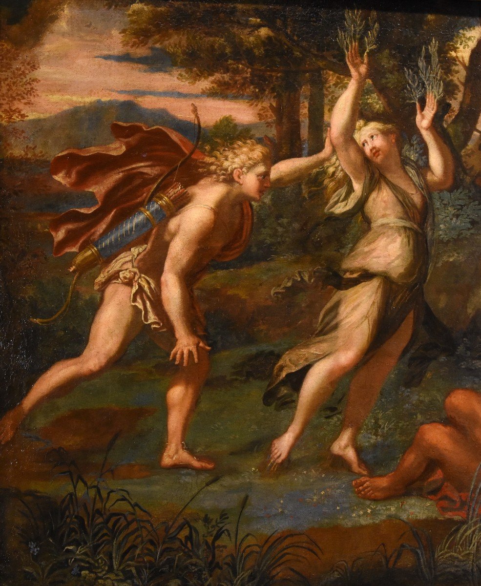 Giovanni Angelo Canini (Roma, 1608 – Roma, 1666) - Il mito di Apollo e Dafne-photo-3
