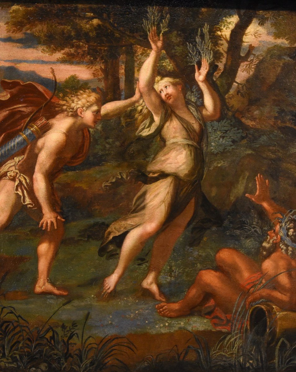 Giovanni Angelo Canini (Roma, 1608 – Roma, 1666) - Il mito di Apollo e Dafne-photo-4