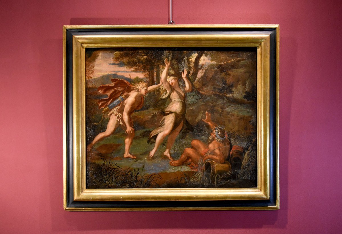 Giovanni Angelo Canini (Roma, 1608 – Roma, 1666) - Il mito di Apollo e Dafne-photo-1