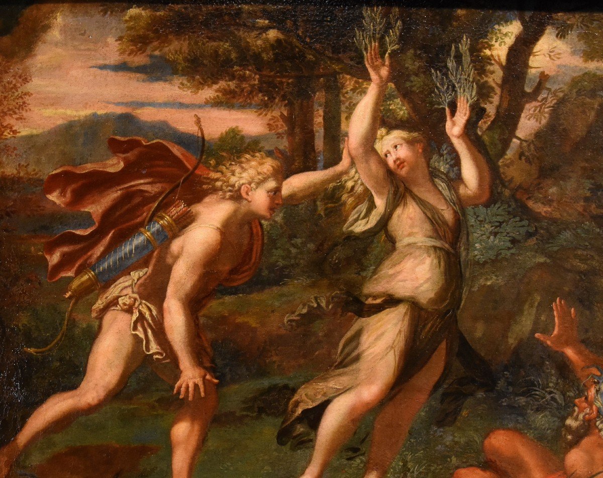 Giovanni Angelo Canini (Roma, 1608 – Roma, 1666) - Il mito di Apollo e Dafne-photo-2