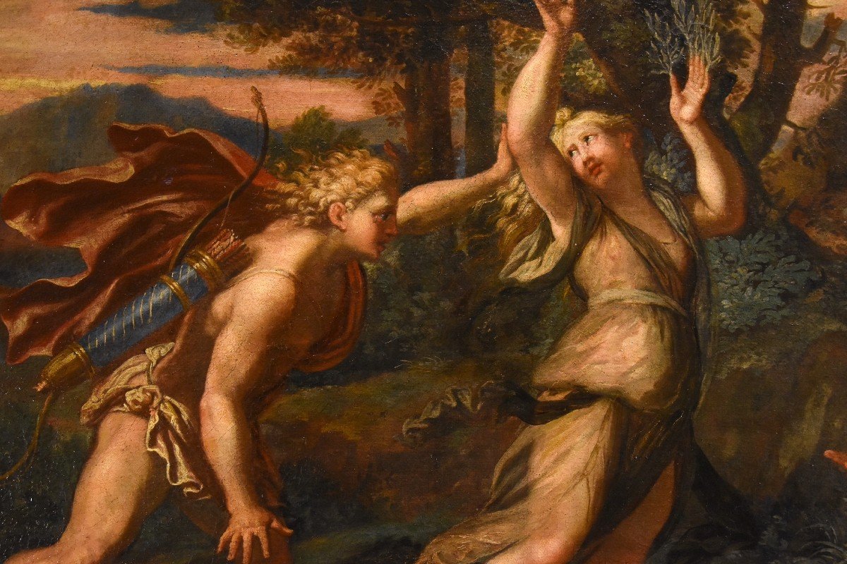 Giovanni Angelo Canini (Roma, 1608 – Roma, 1666) - Il mito di Apollo e Dafne-photo-4
