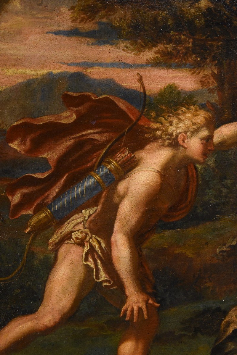 Giovanni Angelo Canini (Roma, 1608 – Roma, 1666) - Il mito di Apollo e Dafne-photo-5
