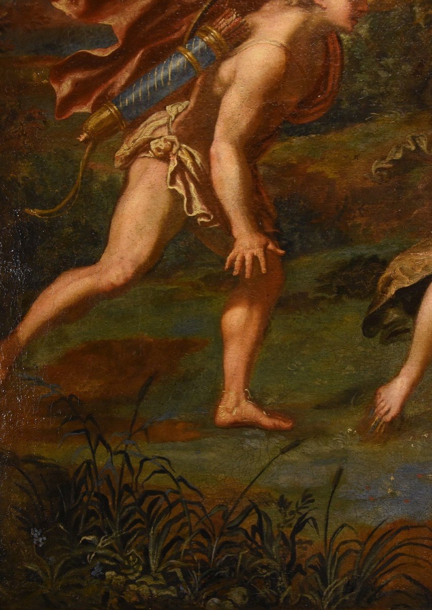 Giovanni Angelo Canini (Roma, 1608 – Roma, 1666) - Il mito di Apollo e Dafne-photo-7