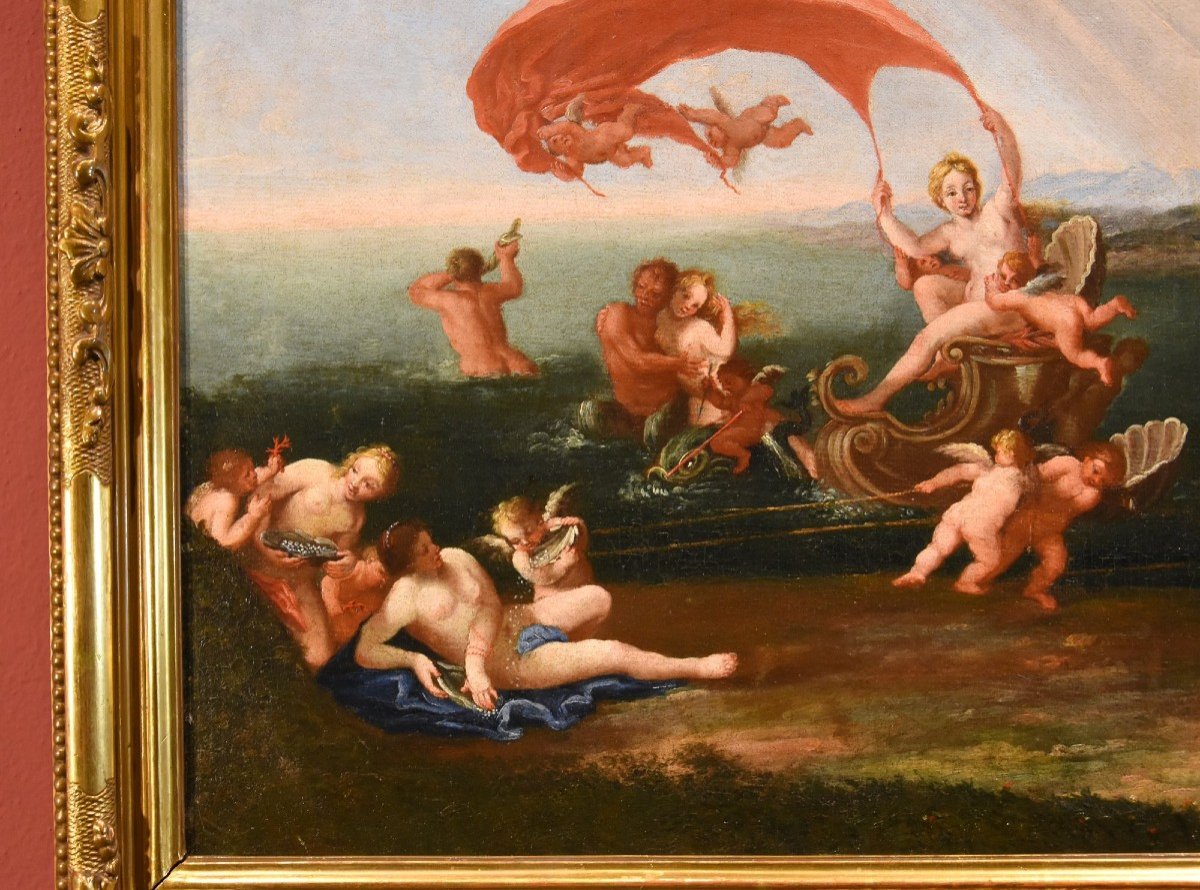 Il trionfo della ninfa Galatea, Francesco Albani (Bologna 1578 - 1660) cerchia di-photo-4