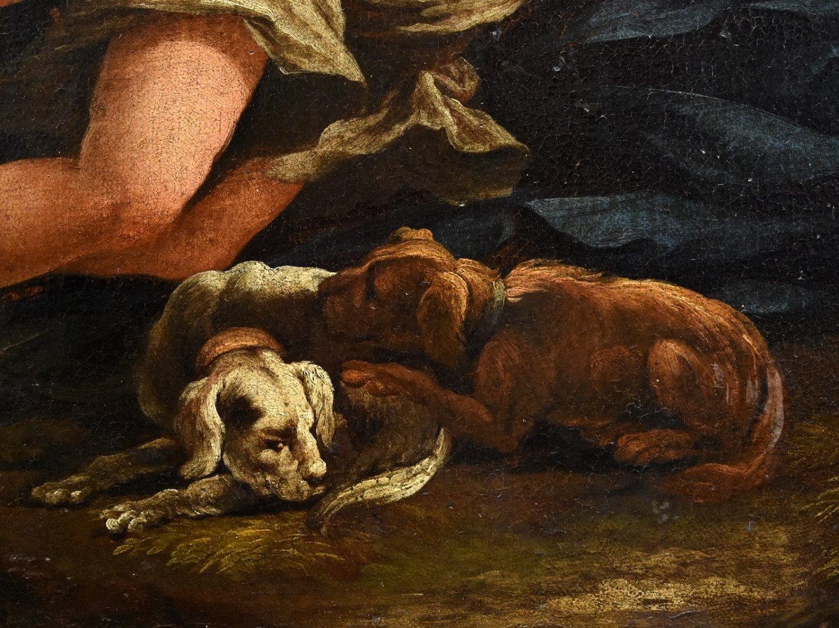Il riposo di Diana, Guillaume Courtois detto “il Borgognone” (Saint Hippolyte 1626 - Roma 1679)-photo-5