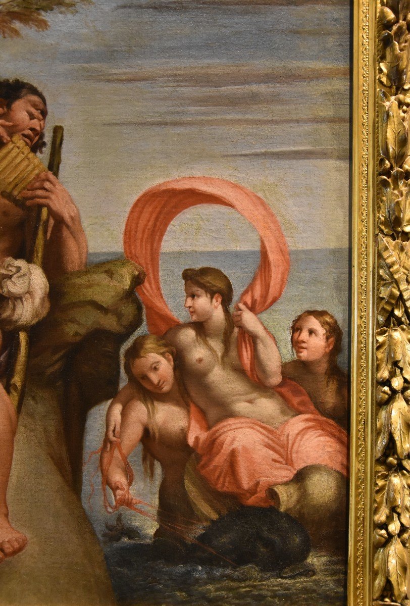 Polifemo e Galatea, Annibale Carracci (Bologna, 1560 - Roma, 1609) Bottega di-photo-1