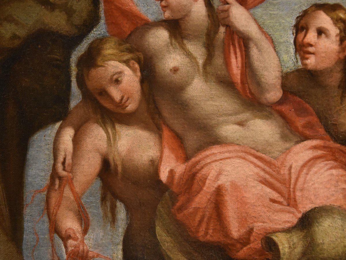 Polifemo e Galatea, Annibale Carracci (Bologna, 1560 - Roma, 1609) Bottega di-photo-3