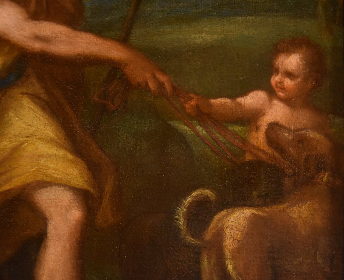 Giuseppe Bartolomeo Chiari (Roma 1654–1727), Venere con Adone e Cupido-photo-5