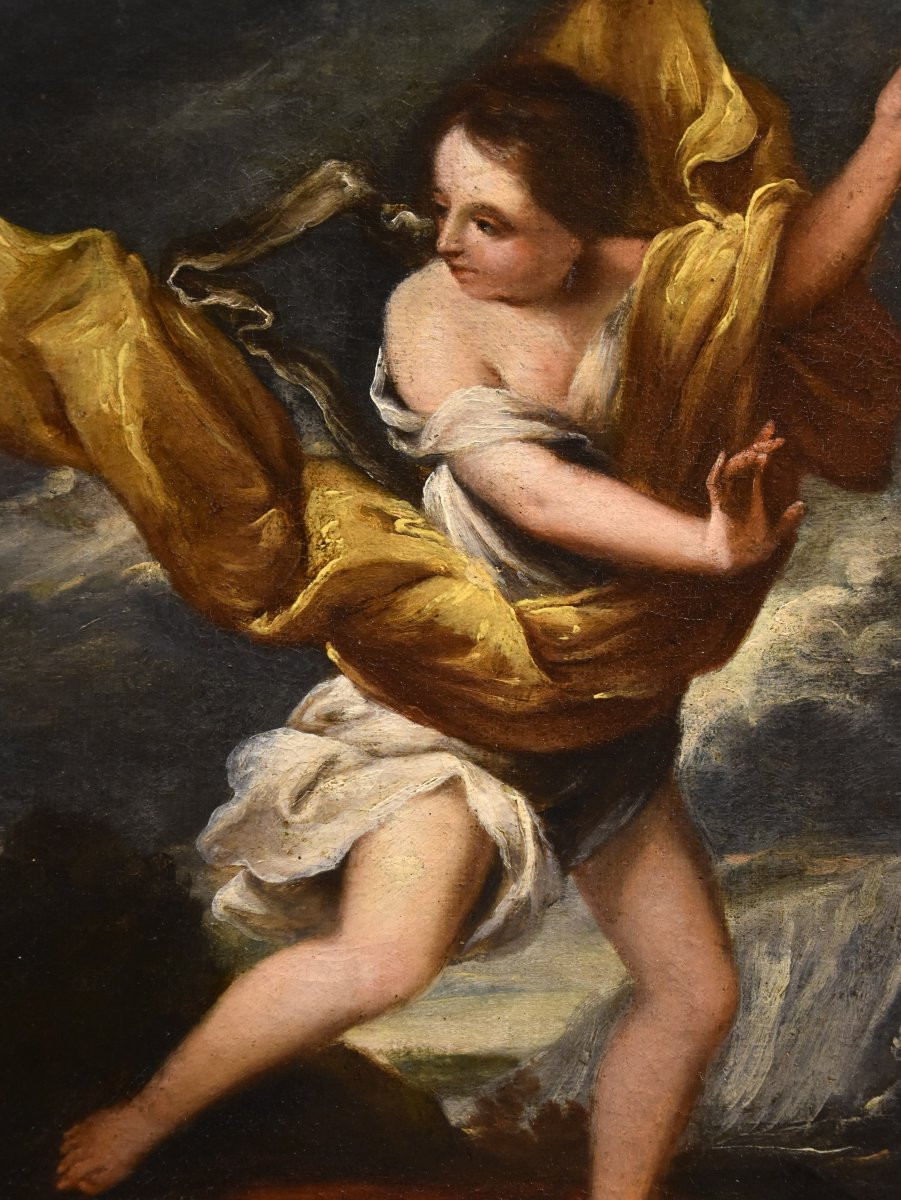 La ninfa Dafne con Cupido, Scuola romana del Sei/Settecento-photo-3