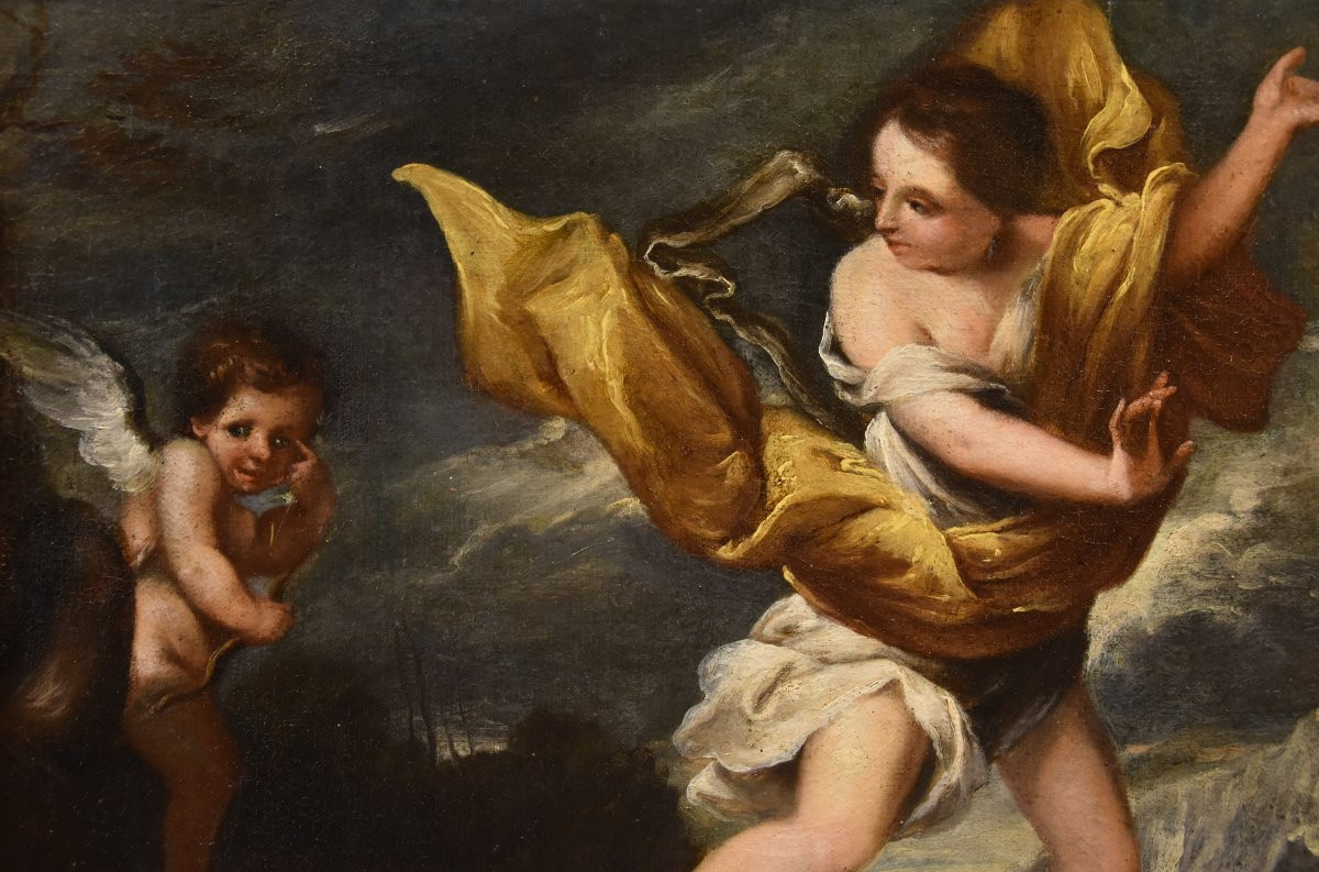 La ninfa Dafne con Cupido, Scuola romana del Sei/Settecento-photo-5