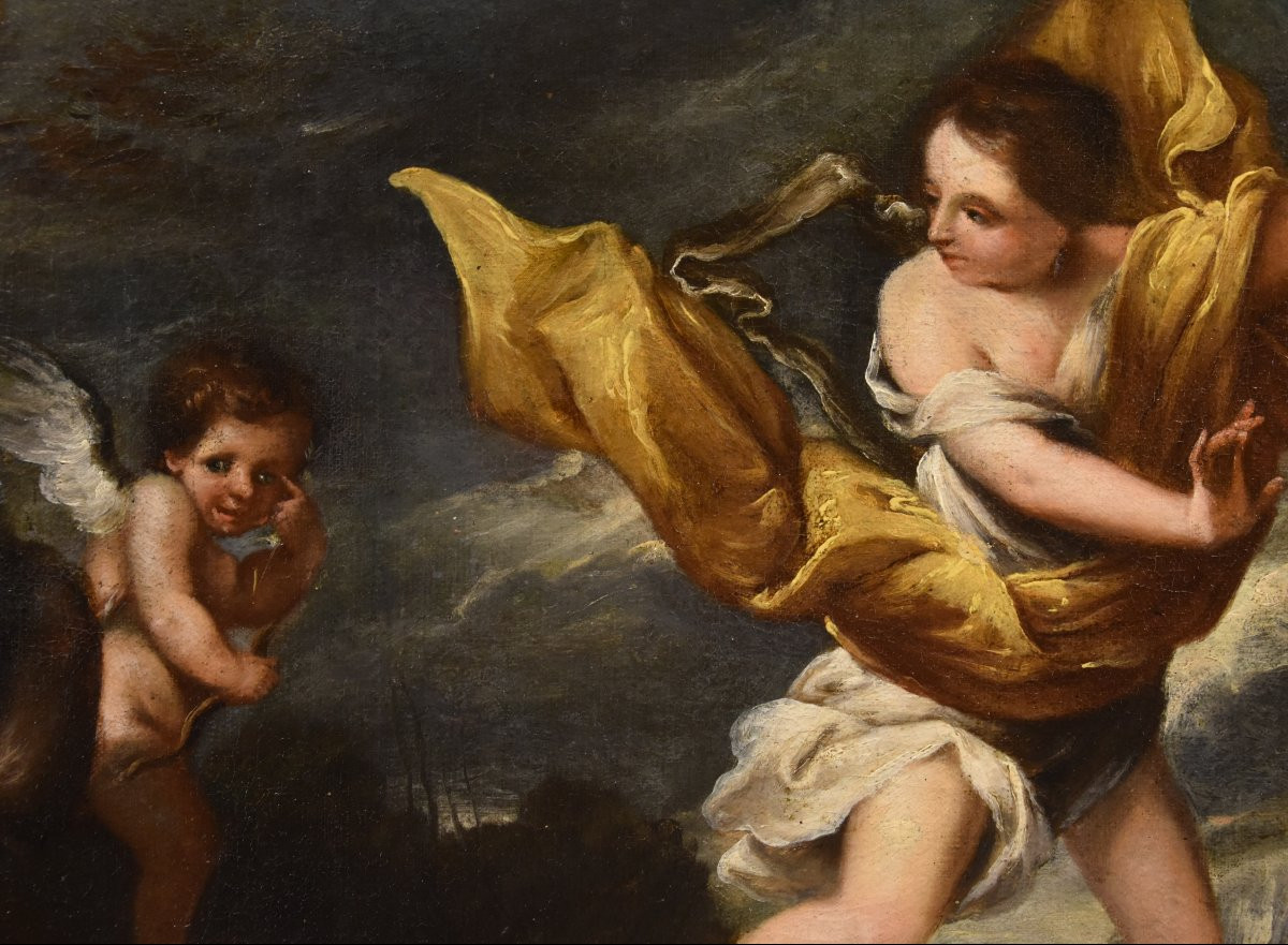 La ninfa Dafne con Cupido, Scuola romana del Sei/Settecento-photo-6