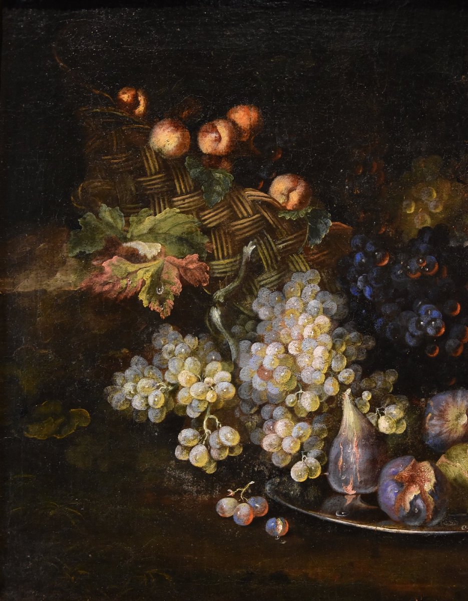 Natura morta di frutta con lucertola, Franz Werner Von Tamm (Amburgo 1658-Vienna 1754) -photo-3