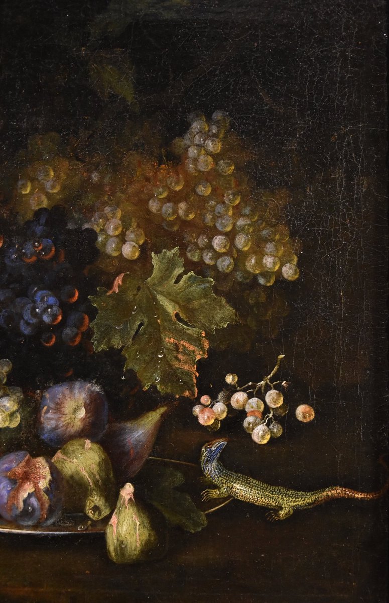 Natura morta di frutta con lucertola, Franz Werner Von Tamm (Amburgo 1658-Vienna 1754) -photo-4