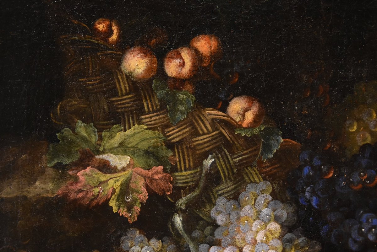 Natura morta di frutta con lucertola, Franz Werner Von Tamm (Amburgo 1658-Vienna 1754) -photo-1