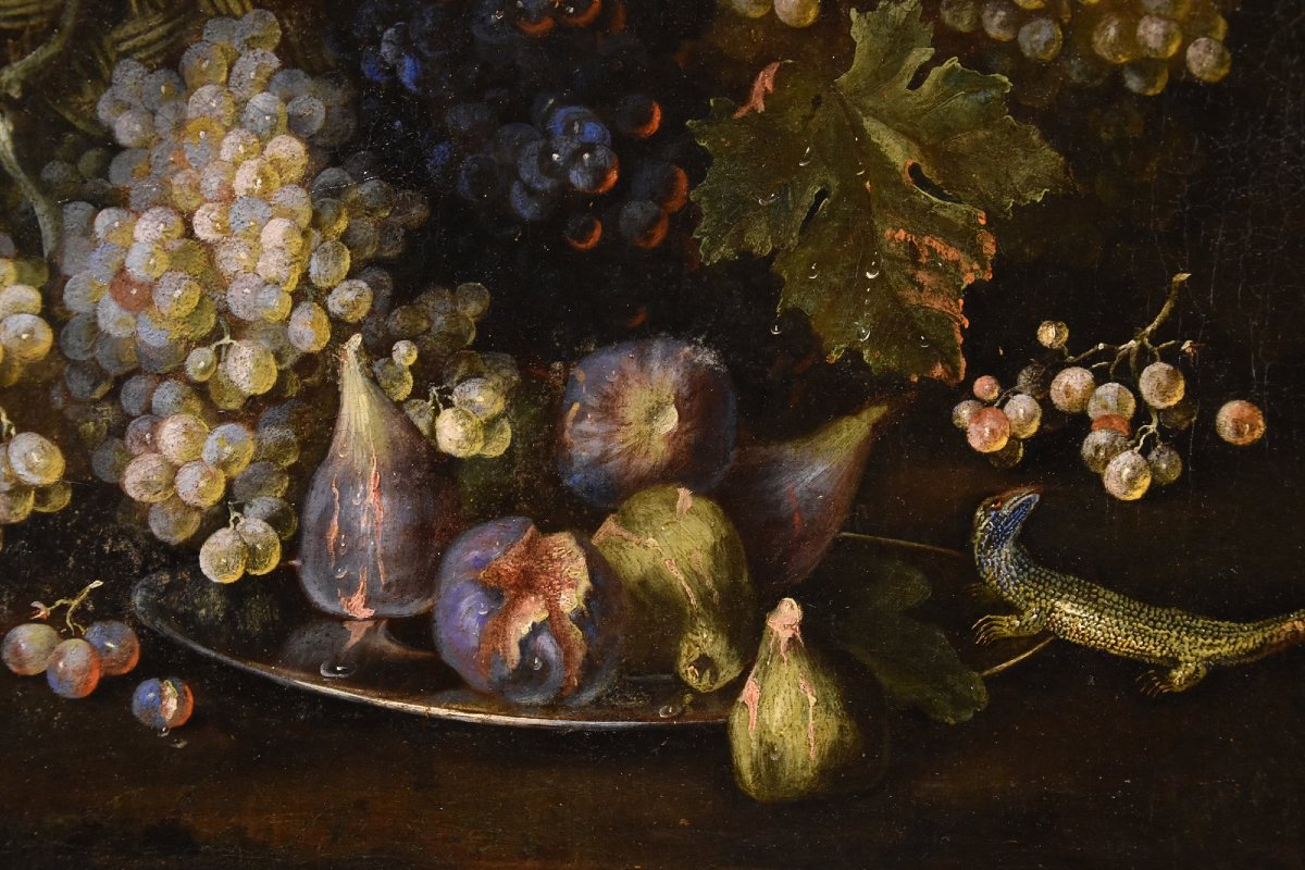 Natura morta di frutta con lucertola, Franz Werner Von Tamm (Amburgo 1658-Vienna 1754) -photo-3
