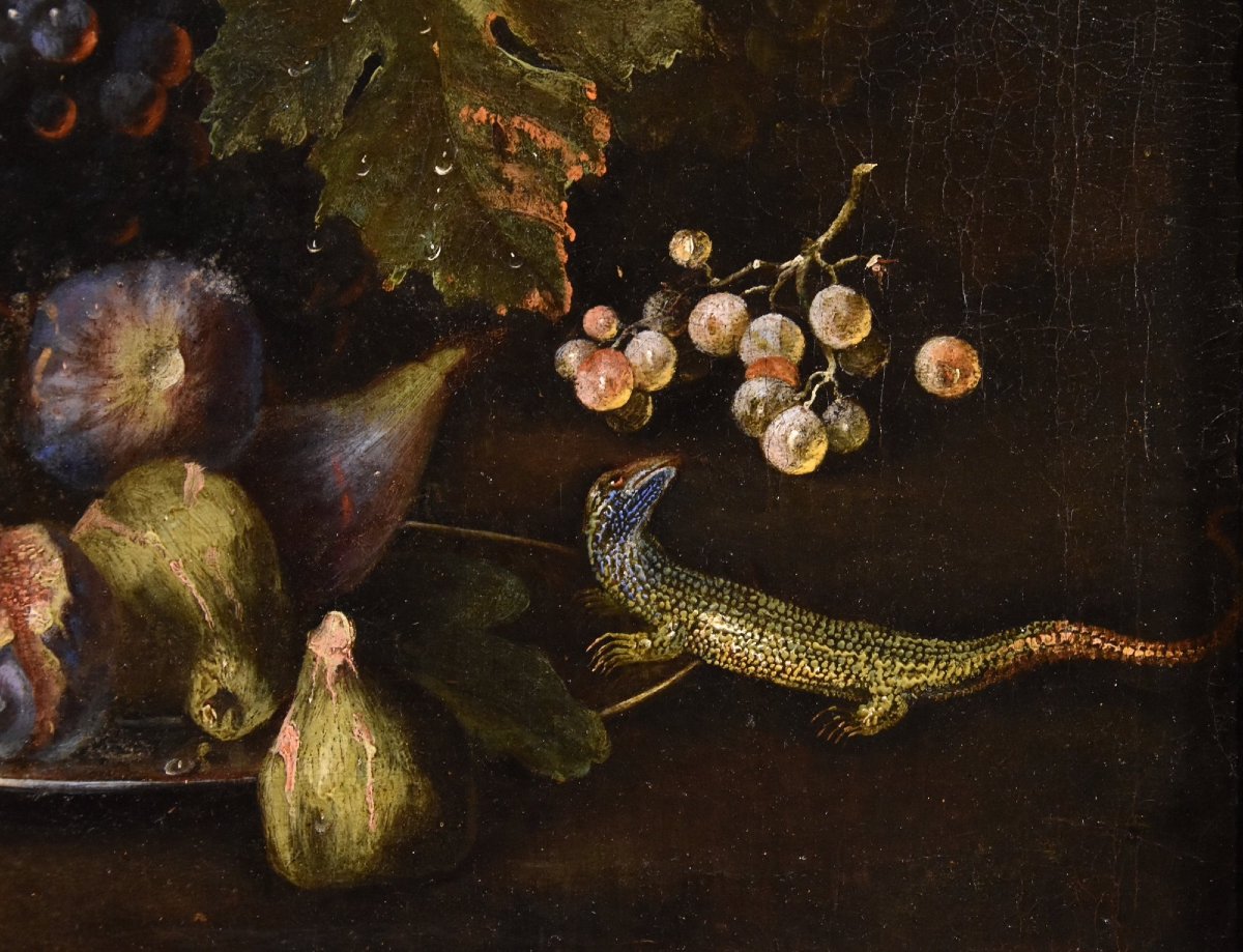 Natura morta di frutta con lucertola, Franz Werner Von Tamm (Amburgo 1658-Vienna 1754) -photo-5