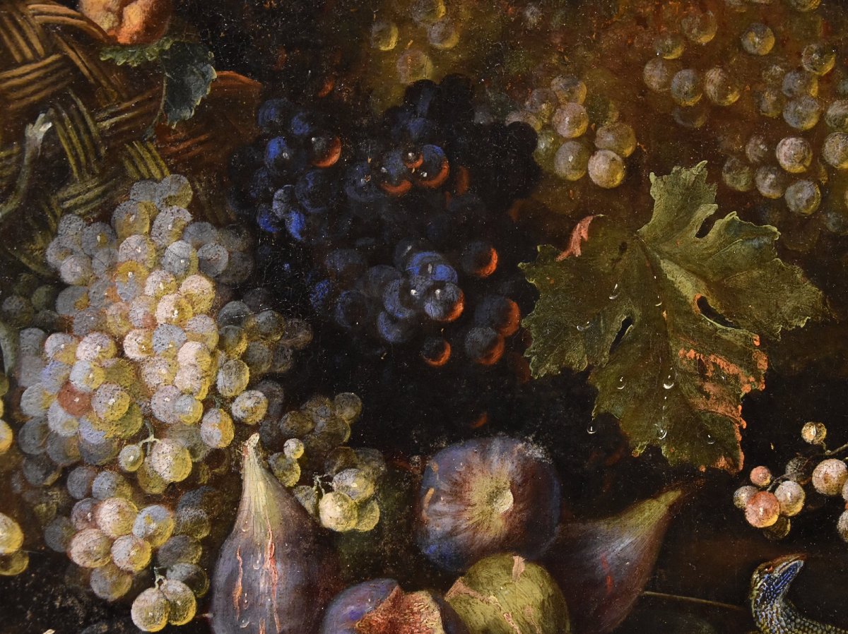 Natura morta di frutta con lucertola, Franz Werner Von Tamm (Amburgo 1658-Vienna 1754) -photo-6