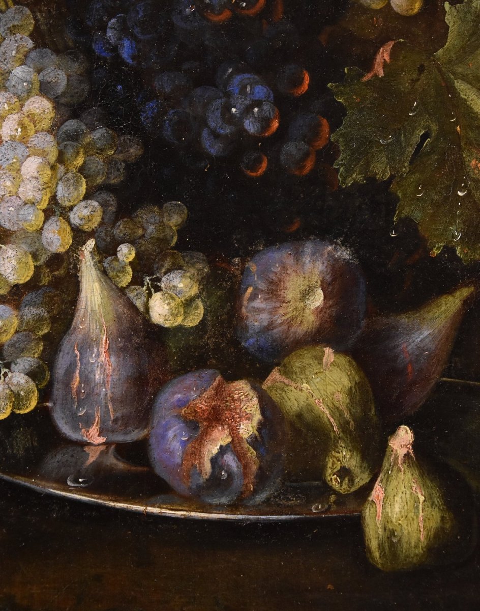 Natura morta di frutta con lucertola, Franz Werner Von Tamm (Amburgo 1658-Vienna 1754) -photo-7