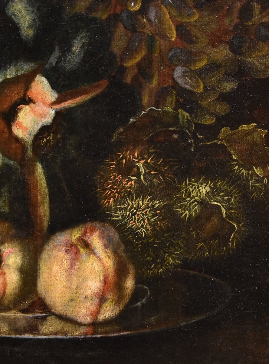 Natura morta di frutta con picchio verde, Franz Werner Von Tamm (Amburgo 1658-Vienna 1754)-photo-1