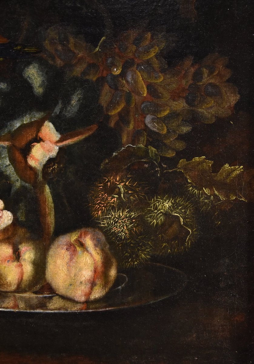 Natura morta di frutta con picchio verde, Franz Werner Von Tamm (Amburgo 1658-Vienna 1754)-photo-2