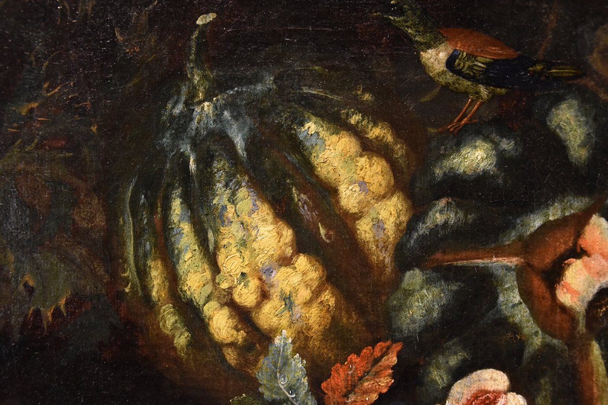 Natura morta di frutta con picchio verde, Franz Werner Von Tamm (Amburgo 1658-Vienna 1754)-photo-4