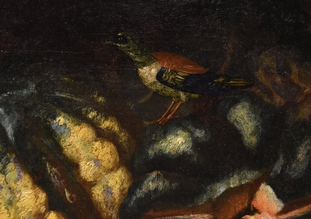 Natura morta di frutta con picchio verde, Franz Werner Von Tamm (Amburgo 1658-Vienna 1754)-photo-5