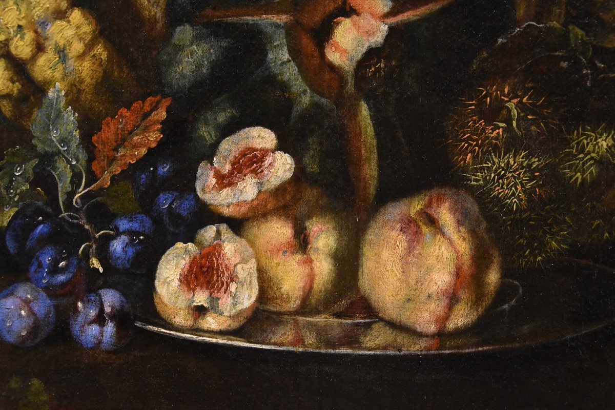 Natura morta di frutta con picchio verde, Franz Werner Von Tamm (Amburgo 1658-Vienna 1754)-photo-6