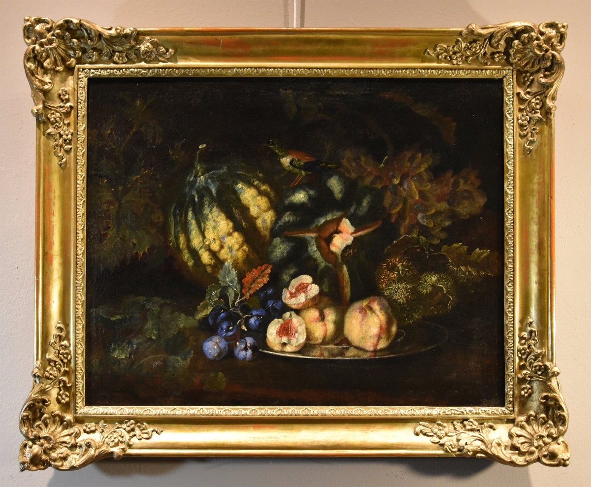 Natura morta di frutta con picchio verde, Franz Werner Von Tamm (Amburgo 1658-Vienna 1754)