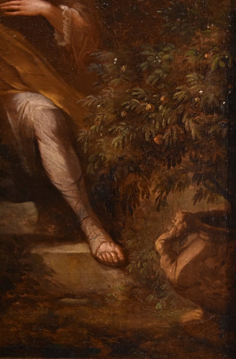 Portrait of a Gentleman in a Garden, Godfrey Kneller (Lübeck 1646 - London 1723) Circle of-photo-3