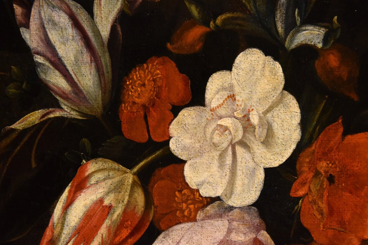 Ghirlanda di fiori con cartiglio, Frans van Everbroeck (Anversa, 1628 – Londra 1693) -photo-6