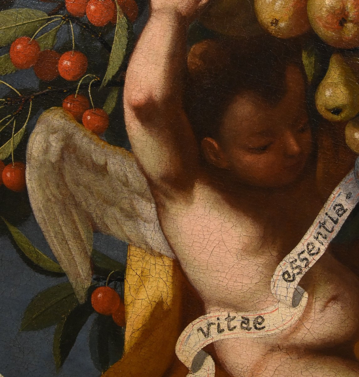 Composizione di frutta sorretta da tre angeli, Luigi Garzi (Pistoia 1638 – Roma1721)-photo-2