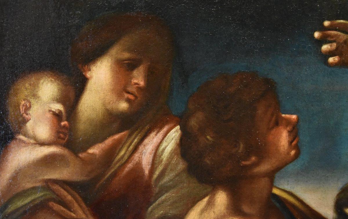  Il miracolo di San Francesco, Felice Cignani (Bologna 1658 - Forlì 1724)-photo-4