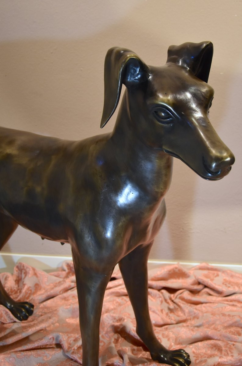 Coppia di levrieri Art Déco in bronzo,  Francia XX secolo-photo-2