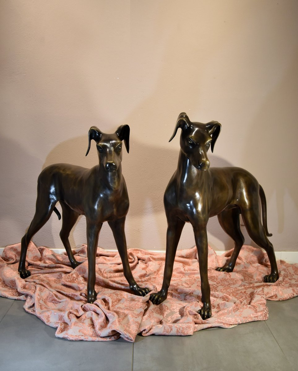 Coppia di levrieri Art Déco in bronzo,  Francia XX secolo-photo-8