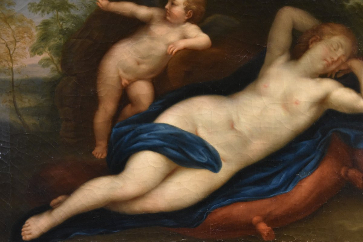 Venere dormiente con Cupido, Marcantonio Franceschini (Bologna 1648 - 1729) Bottega di-photo-4