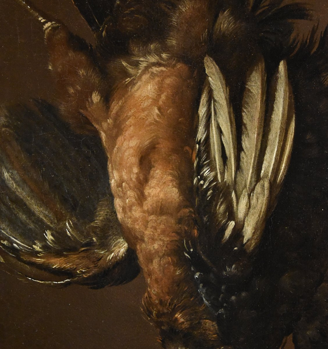 Natura morta con due gallinacei, Giovanni Agostino Cassana (Venezia post 1658 - Genova 1720)-photo-4