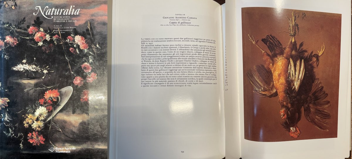 Natura morta con due gallinacei, Giovanni Agostino Cassana (Venezia post 1658 - Genova 1720)-photo-1