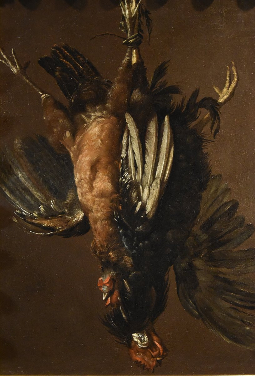 Natura morta con due gallinacei, Giovanni Agostino Cassana (Venezia post 1658 - Genova 1720)-photo-2